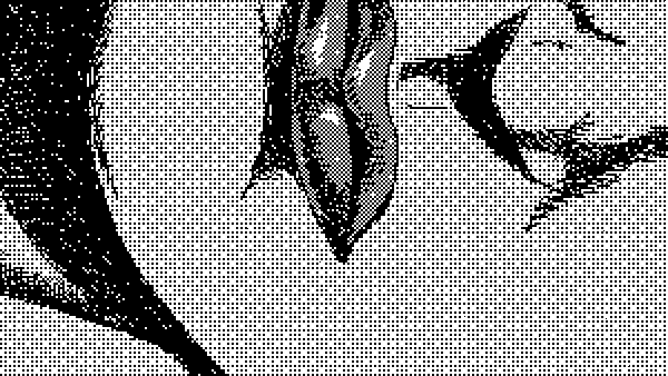 Blood Dripping Flower GIF