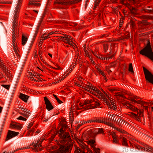 Blood Flow In The Circulatory System GIF