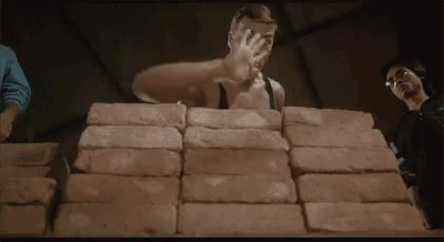 Bloodsport 400 X 218 Gif GIF