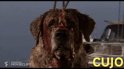 Bloody Dog With Cujo