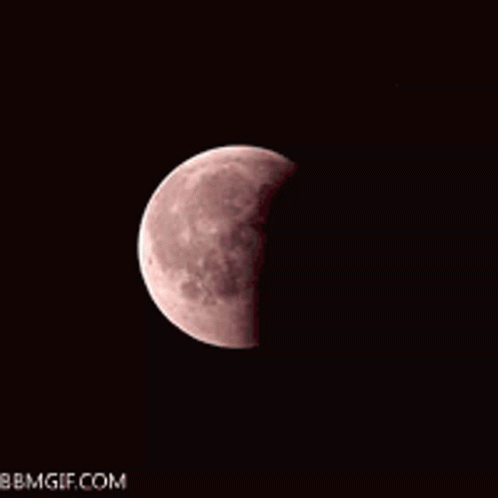 Bloody Full Moon With bbmgif.com
