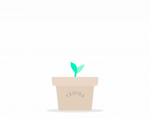 Blooming Beautiful Flowers Growing Plant GIF
