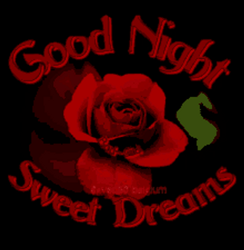 Lovers And Full Moon Rose Good Night GIF | GIFDB.com