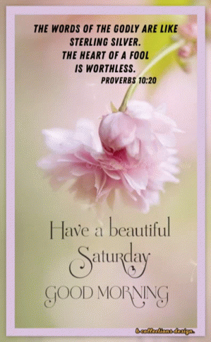 Blossoming Flower Saturday Blessings GIF