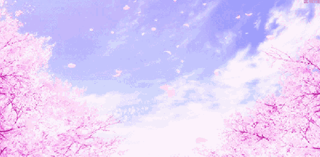 Blossoms Flowers Gif GIF