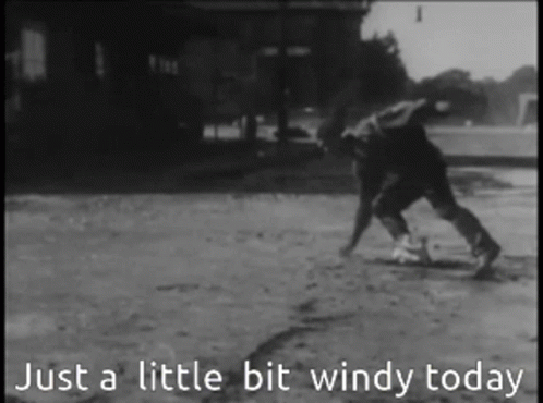 Blown Away Little Bit Windy Today GIF