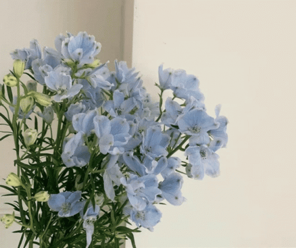 Blue Aesthetic Cute Stuffs GIF