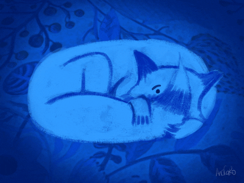 Blue Aesthetic Sleeping Cat GIF