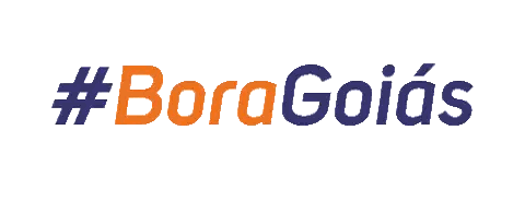 Blue and Orange Logo #boragoias