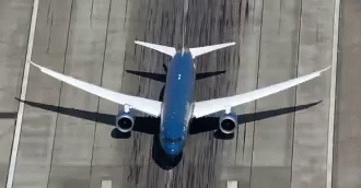 Blue and White Airplane Taking Off From Runway