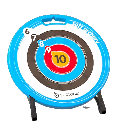 Blue and White Archery Target