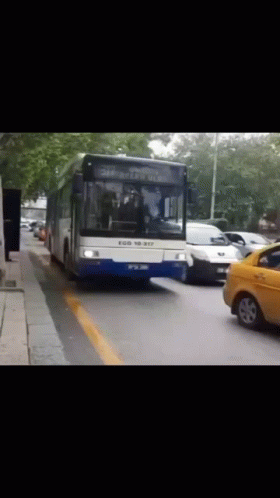 Blue and White Bus Driving Down Road