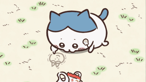 Blue And White Cat In Red Shirt GIF