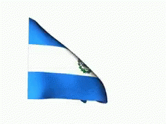 Blue and White Flag Waving