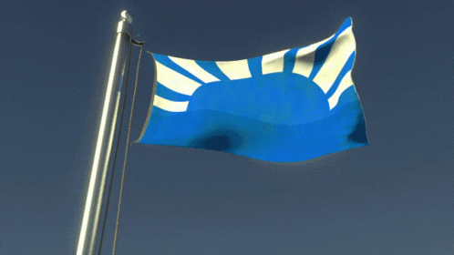 Blue and White Flag Waving