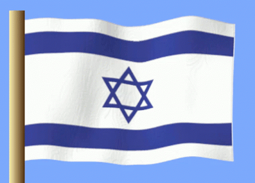 Blue and White Flag With Blue Star