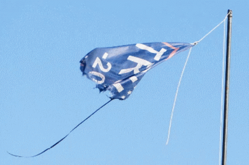 Blue and White Flag With Letters X and Z