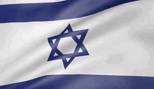 Blue and White Flag With Star