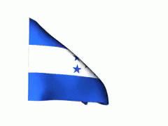 Blue and White Flag With Three Stars