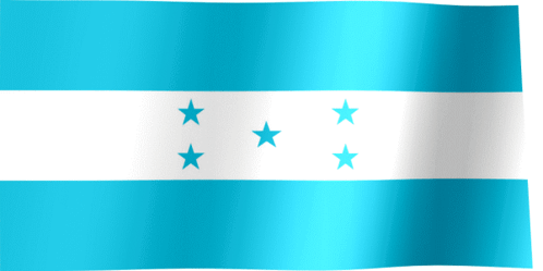 Blue and White Flag with Three Stars