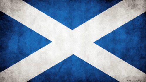 Blue and White Flag with White X