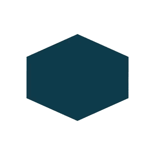 Blue and White Hexagon with S