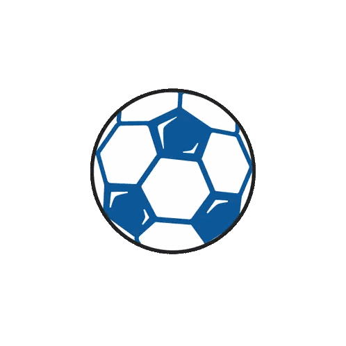 Blue and White Soccer Ball With Black Outline