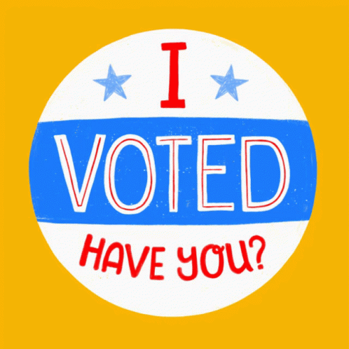 Blue and White Sticker Saying I Voted Have You