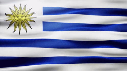 Blue And White Striped Flag With Sun GIF