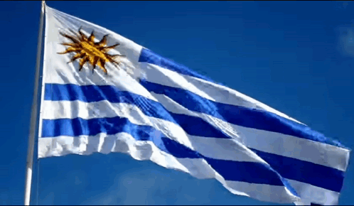 Blue And White Striped Flag With Yellow Sun GIF