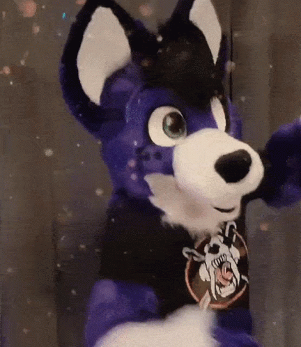 Blue and White Stuffed Animal Wearing Black Dog Shirt