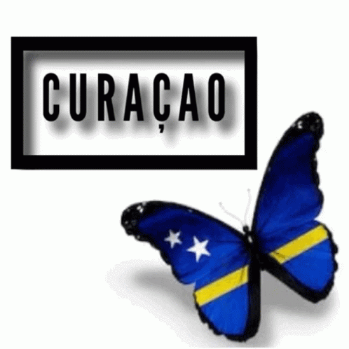Blue And Yellow Butterfly Flying In Front Of Curaçao Sign GIF
