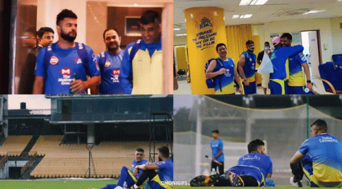 Blue and Yellow Cricket Team Collage