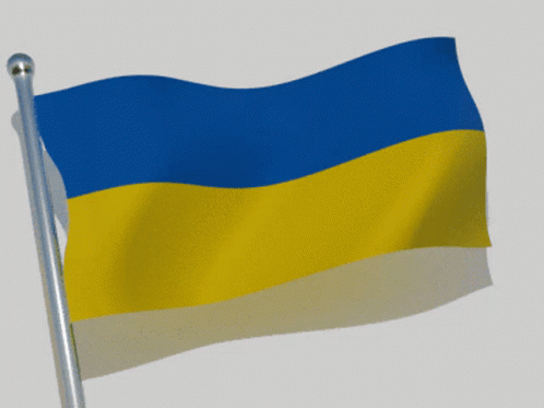 Blue And Yellow Flag Waving GIF