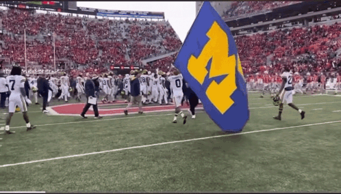 Blue and Yellow Flag With Letter M Carried by Football Players
