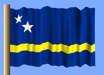 Blue And Yellow Flag With Two White Stars GIF