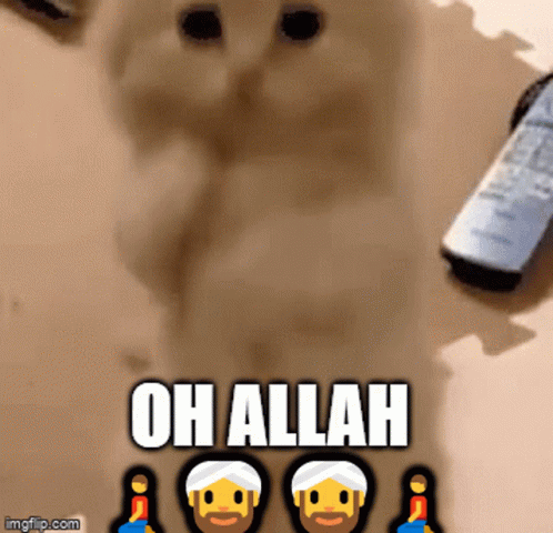 Blue Background Allah GIF
