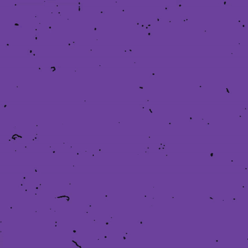 Blue Background Devil Rays Win Yellow