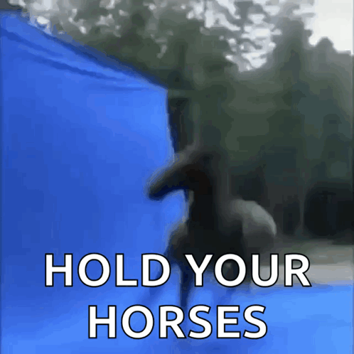 Blue Background Horse Saying Hold Your Horses