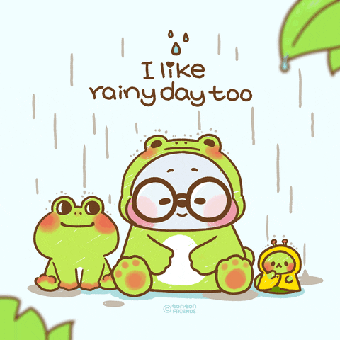 Blue Bear Rainy Day Cute Frog GIF