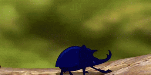 Blue Beetle Crawling on Tree Branch