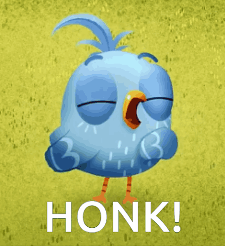Blue Bird Eyes Closed Honk GIF