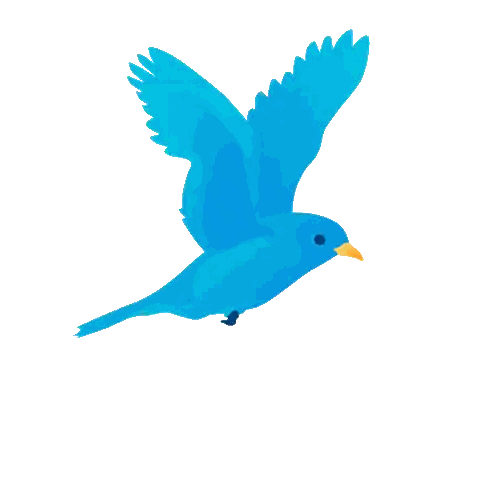 Blue Bird Flying with Yellow Beak