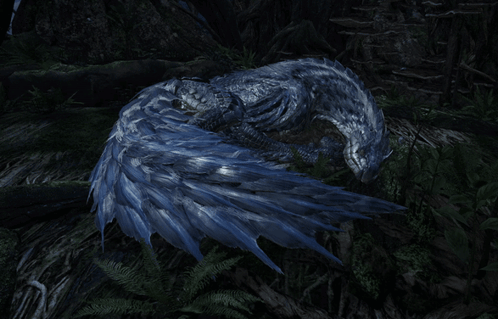 Blue Bird Laying in Woods