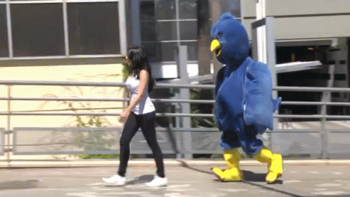 Blue Bird Mascot Walking With Woman GIF
