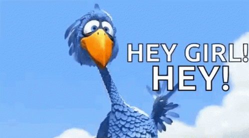 Blue Bird Orange Beak Saying Hey Girl Hey
