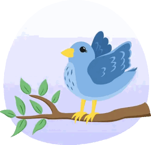 Blue Bird Perched on Tree Branch