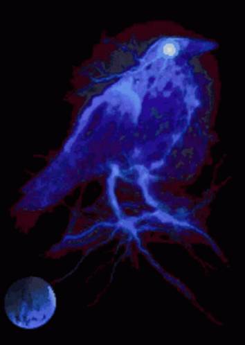Blue Bird Sitting On Tree Branch With Full Moon GIF