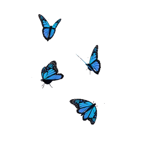 Blue Butterflies Flying in Circle