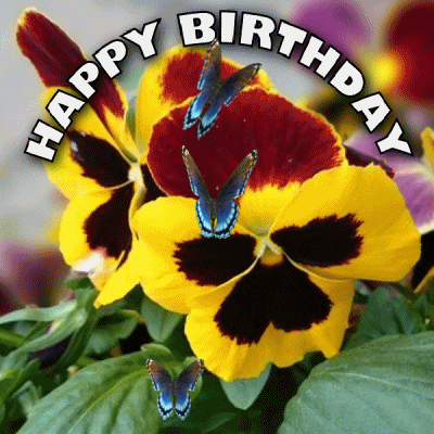 Blue Butterflies Happy Birthday GIF